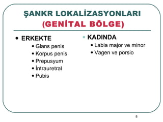 ŞANKR LOKALİZASYONLARI   ( GENİTAL BÖLGE) ERKEKTE Glans penis Korpus penis Prepusyum İntrauretral Pubis KADINDA Labia major ve minor Vagen ve porsio 