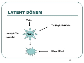 LATENT DÖNEM Virüs CD4(+) Lenfosit (Th)  makrofaj Tetikleyici faktörler Hücre ölümü 