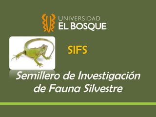 SIFS Semillero de Investigación de Fauna Silvestre 