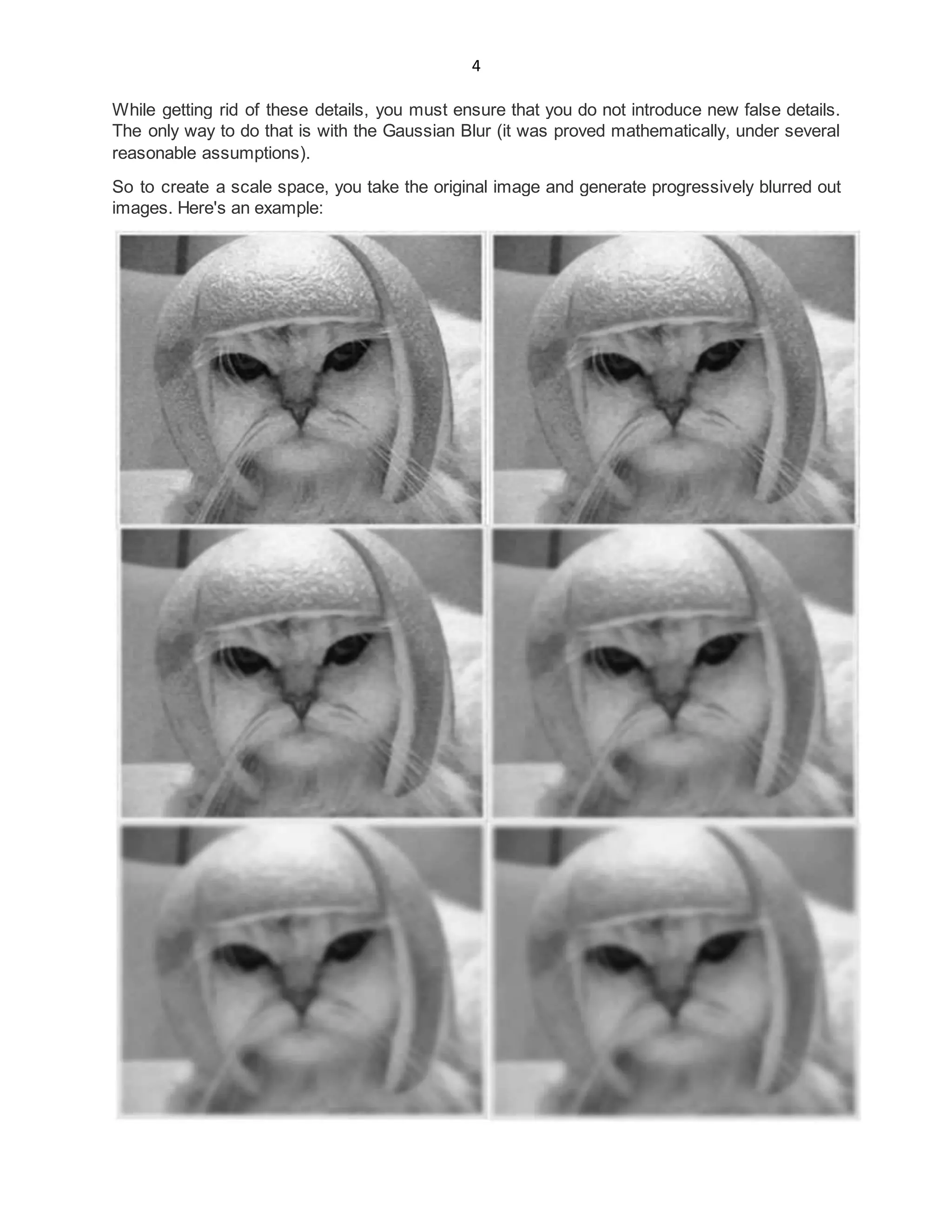 4
While getting rid of these details, you must ensure that you do not introduce new false details.
The only way to do that is with the Gaussian Blur (it was proved mathematically, under several
reasonable assumptions).
So to create a scale space, you take the original image and generate progressively blurred out
images. Here's an example:
 