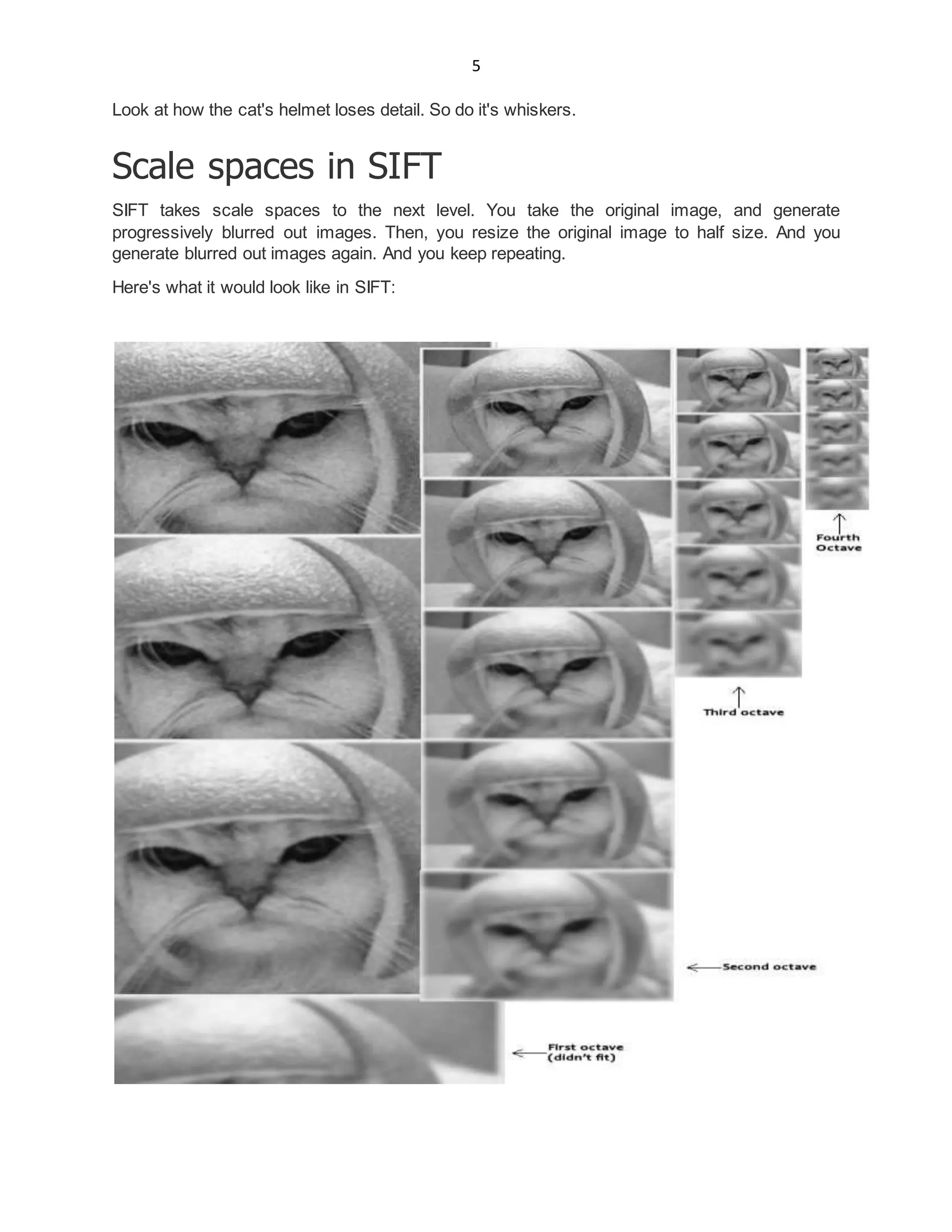 5
Look at how the cat's helmet loses detail. So do it's whiskers.
Scale spaces in SIFT
SIFT takes scale spaces to the next level. You take the original image, and generate
progressively blurred out images. Then, you resize the original image to half size. And you
generate blurred out images again. And you keep repeating.
Here's what it would look like in SIFT:
 