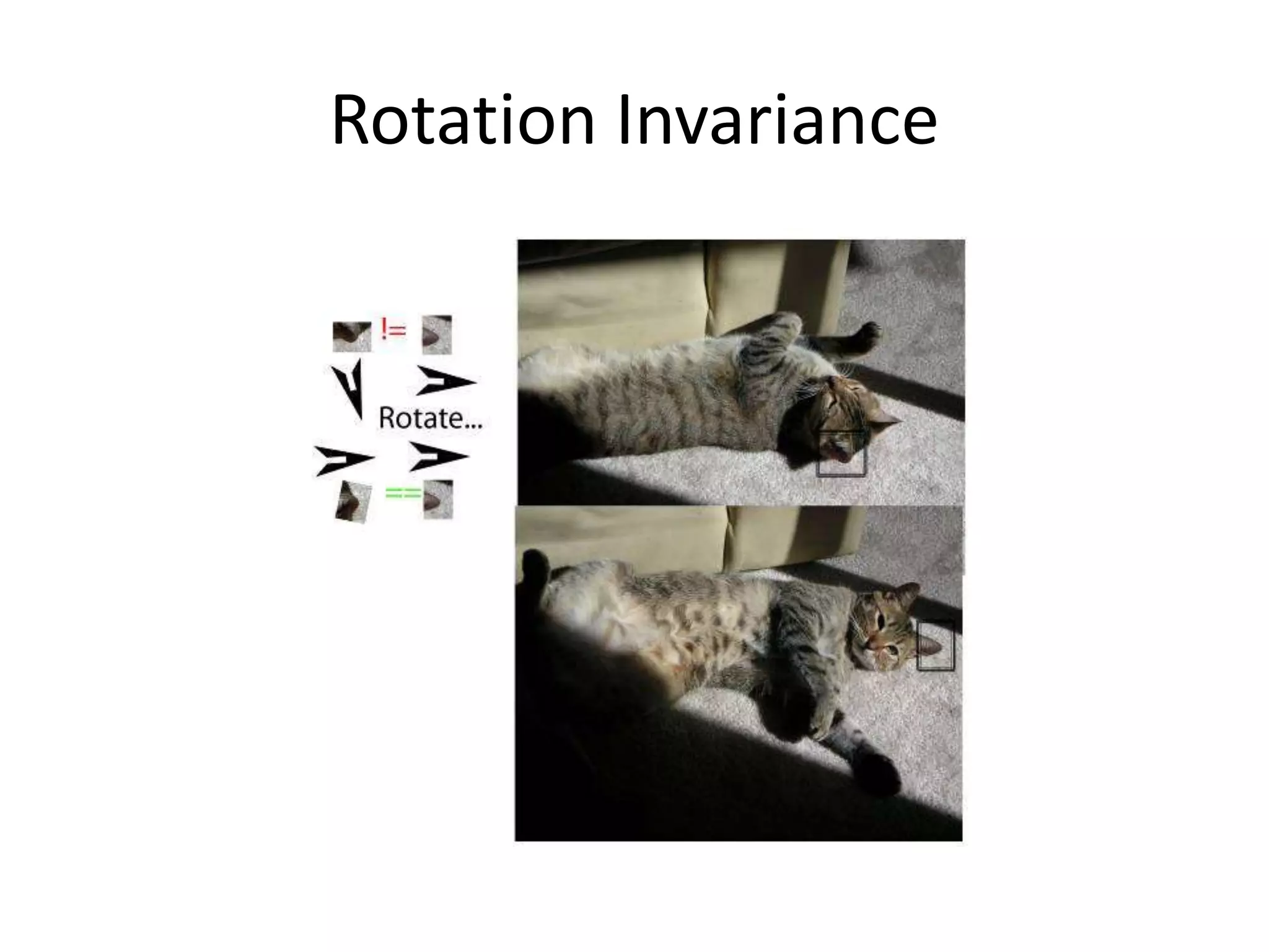 Rotation Invariance
 