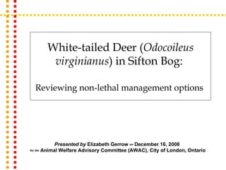 White-tailed Deer ( Odocoileus virginianus ) in Sifton Bog:   Reviewing non-lethal management options   Presented by  Elizabeth Gerrow  on  December 16, 2008  for the  Animal Welfare Advisory Committee (AWAC), City of London, Ontario 