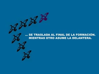 ... SE TRASLADA AL FINAL DE LA FORMACIÓN.
    MIENTRAS OTRO ASUME LA DELANTERA.
 