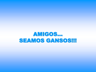 AMIGOS...
SEAMOS GANSOS!!!
 