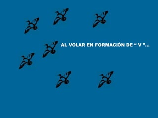 AL VOLAR EN FORMACIÓN DE “ V ”...
 
