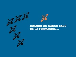 CUANDO UN GANSO SALE
DE LA FORMACIÓN...
 