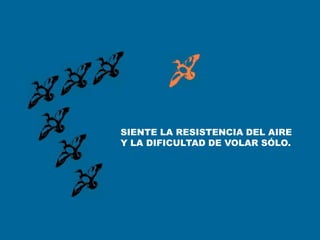 SIENTE LA RESISTENCIA DEL AIRE
Y LA DIFICULTAD DE VOLAR SÓLO.
 