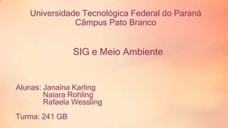 Universidade Tecnológica Federal do Paraná 
Câmpus Pato Branco 
SIG e Meio Ambiente 
Alunas: Janaína Karling 
Naiara Rohling 
Rafaela Wessling 
Turma: 241 GB 
 
