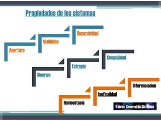 Apertura
Viabilidad
Recursividad
Propiedades de los sistemas
Sinergia
Entropia
Complejidad
Homeostasis
Isofinalidad
Diferenciación
Teoría General de Sistemas
 