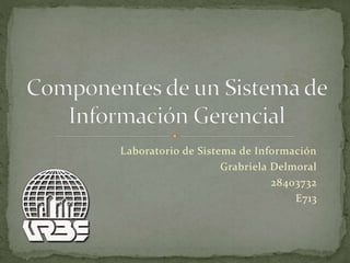 Laboratorio de Sistema de Información
Grabriela Delmoral
28403732
E713
 