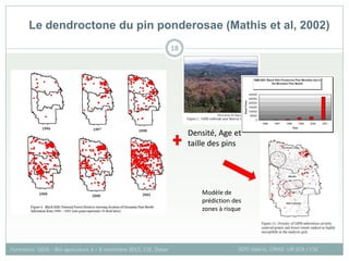 Le dendroctone du pin ponderosae (Mathis et al, 2002)
SOTI Valérie, CIRAD -UR SCA / CSE
Formation QGIS – Bio-agresseurs 4 – 8 novembre 2013, CSE, Dakar
18
Densité, Age et
taille des pins
Modèle de
prédiction des
zones à risque
 