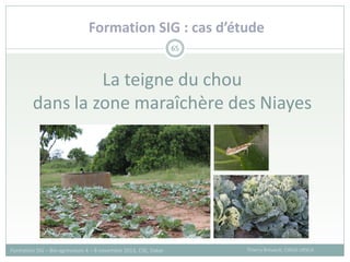 La teigne du chou
dans la zone maraîchère des Niayes
65
Thierry Brévault, CIRAD URSCA
Formation SIG – Bio-agresseurs 4 – 8 novembre 2013, CSE, Dakar
Formation SIG : cas d’étude
 