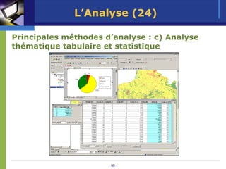 L’Analyse (24)

Principales méthodes d’analyse : c) Analyse
thématique tabulaire et statistique




                      65
 