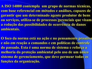 A ISO 14000 contempla  um grupo de normas técnicas, com base referencial em métodos e análises, capazes de garantir que um determinado agente produtor de bens ou serviços, utiliza-se de processos gerenciais que visam a redução das possibilidades de ocorrência de danos ambientais. O foco da norma está na ação e no pensamento proativo e não em reação a comandos e em políticas de controle do passado. Esta é uma norma de sistema e reforça a melhoria da proteção ambiental pelo uso de um único sistema de gerenciamento, que deve permear todas as funções da organização. 