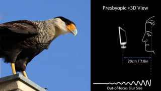 Presbyopic +3D View




             20cm / 7.8in




 Out-of-focus Blur Size
 