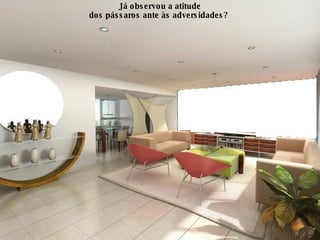 Já observou a atitude dos pássaros ante às adversidades?  