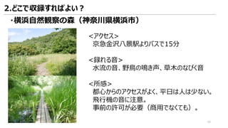 <アクセス>
京急金沢八景駅よりバスで15分
<録れる音>
水流の音、野鳥の鳴き声、草木のなびく音
<所感>
都心からのアクセスがよく、平日は人は少ない。
飛行機の音に注意。
事前の許可が必要（商用でなくても）。
・横浜自然観察の森（神奈川県横浜市）
2.どこで収録すればよい？
40
 