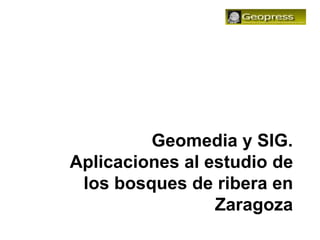 Geomedia y SIG.
Aplicaciones al estudio de
 los bosques de ribera en
                 Zaragoza
 