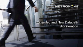 © 2018 NETRONOME SYSTEMS, INC.
Extended and New Datapath
Acceleration
 
