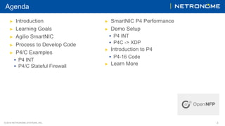 P4 Introduction | PDF