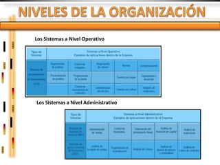 Los Sistemas a Nivel Operativo




Los Sistemas a Nivel Administrativo
 