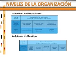 Los Sistemas a Nivel del Conocimiento




Los Sistemas a Nivel Estratégico
 