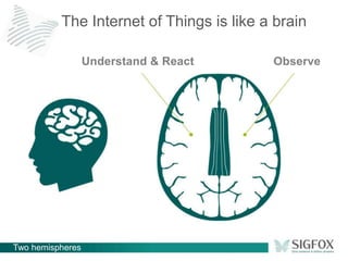Two hemispheres
The Internet of Things is like a brain
Understand & React Observe