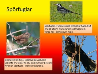 sjófuglarGoggur skarfa, sumra svartfugla, fiskianda og brúsa er og svipaður útlits. Þeir afla fæðu sinnar úr sjó, verpa við sjó og ala allan sinn aldur á sjó Kynjamunur sjófugla er lítill, það er helst einhver stærðarmunur sem greinir kynin að.Kynjamunur sjófugla er lítill, það er helst einhver stærðarmunur sem greinir kynin að. 