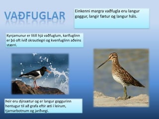 SpörfuglarSpörfuglar eru langstærsti ættbálkur fugla. Það eru þó aðeins níu tegundir spörfugla sem verpa hér í einhverjum mæli.Einangrun landsins, skógleysi og vætusöm veðrátta eru taldar helstu ástæður fyrir þessum rýra hlut spörfugla í íslenskri fuglafánu.