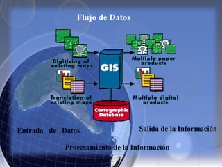 Flujo de Datos
Entrada de Datos
Procesamiento de la Información
Salida de la Información
 
