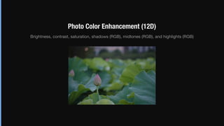 Photo Color Enhancement (12D)
Brightness, contrast, saturation, shadows (RGB), midtones (RGB), and highlights (RGB)
 