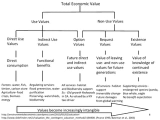 Sig green virtual_workshop_fmis_ronberger