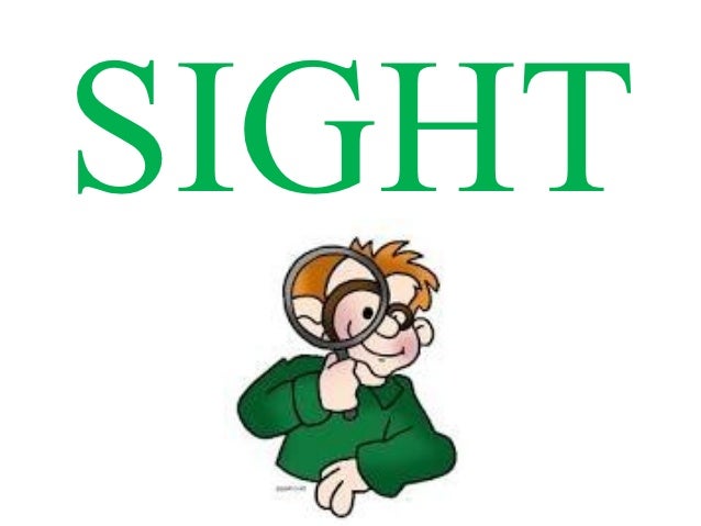 Sight