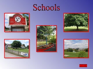 Schools 