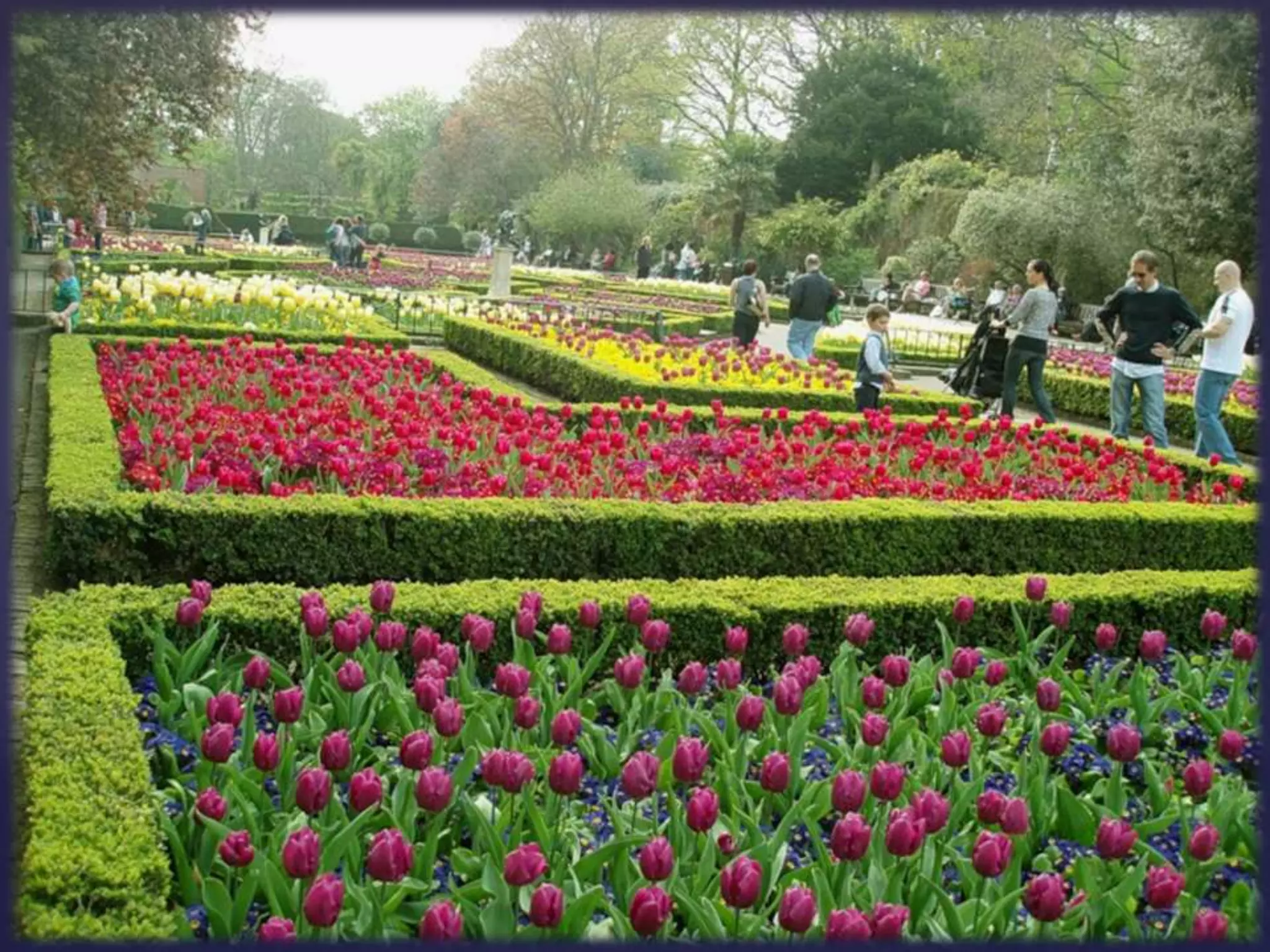 Sightseeing around london