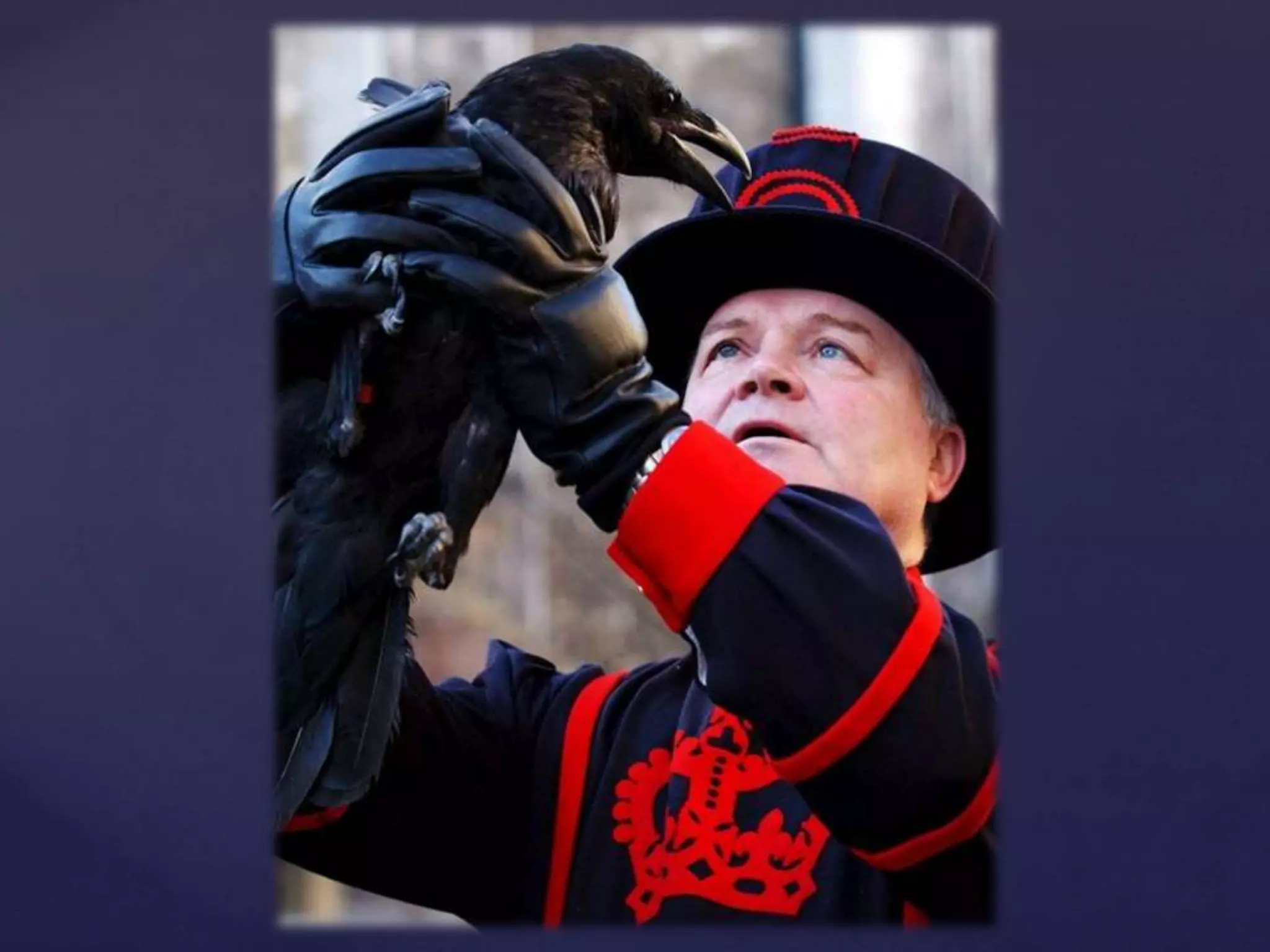 Sightseeing around london