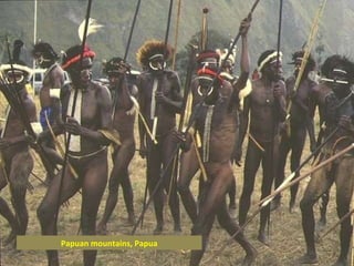 Papuan mountains, Papua 