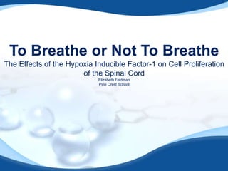 To Breathe or Not To Breathe
The Effects of the Hypoxia Inducible Factor-1 on Cell Proliferation
of the Spinal Cord
Elizabeth Feldman
Pine Crest School

 