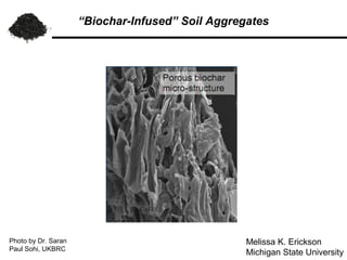 “Biochar-Infused” Soil Aggregates




Photo by Dr. Saran                                Melissa K. Erickson
Paul Sohi, UKBRC
                                                  Michigan State University
 