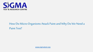 How DoMicro-Organisms Attack Paint and WhyDo We Need a
Paint Test?
www.sigmatest.org
 