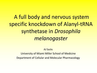 A full body and nervous system
specific knockdown of Alanyl-tRNA
synthetase in Drosophila
melanogaster
AJ Sacks

University of Miami Miller School of Medicine
Department of Cellular and Molecular Pharmacology

 