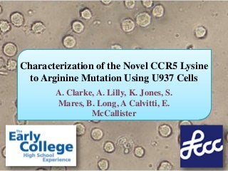 Characterization of the Novel CCR5 Lysine
  to Arginine Mutation Using U937 Cells
       A. Clarke, A. Lilly, K. Jones, S.
       Mares, B. Long, A Calvitti, E.
                McCallister
 
