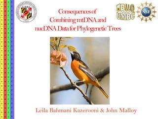 Consequences of
    Combining mtDNAand
nucDNAData for Phylogenetic Trees




Leila Bahmani Kazerooni & John Malloy
 