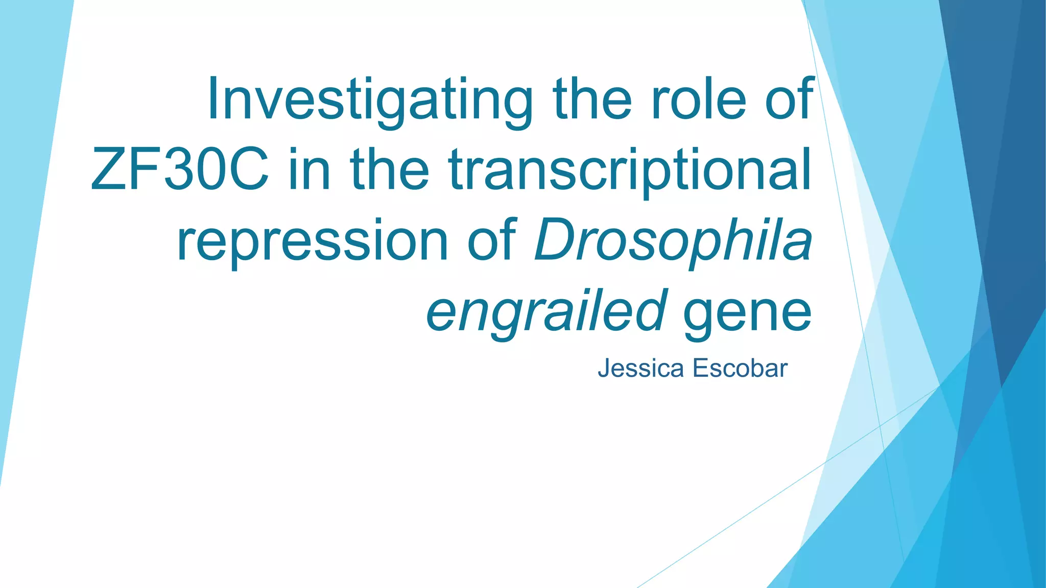 Investigating the role of zinc finger protein, ZF30C, in