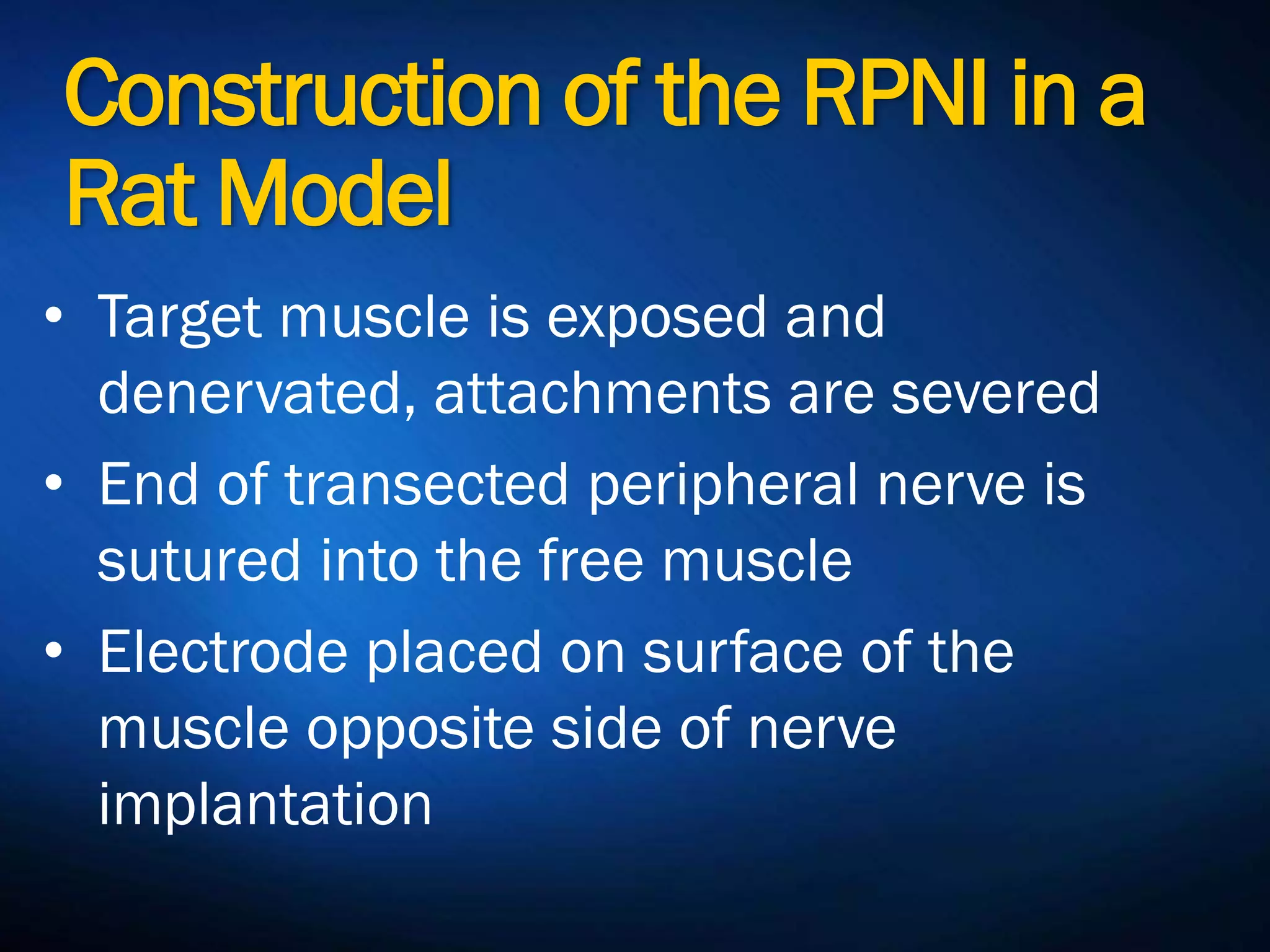 Construction of the RPNI
in a Rat Model
• Target muscle is exposed and
denervated, attachments are severed
• End of transected peripheral nerve is
sutured into the free muscle
• Electrode placed on surface of the
muscle opposite side of nerve
implantation
 
