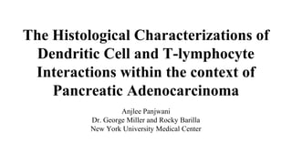 The Histological Characterizations of
Dendritic Cell and T-lymphocyte
Interactions within the context of
Pancreatic Adenocarcinoma
Anjlee Panjwani
Dr. George Miller and Rocky Barilla
New York University Medical Center
 