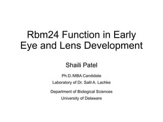 Rbm24 Function in Early
Eye and Lens Development
Shaili Patel
Ph.D./MBA Candidate
Laboratory of Dr. Salil A. Lachke
Department of Biological Sciences
University of Delaware
 