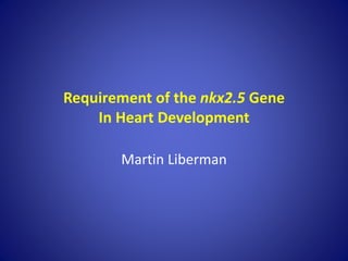 Requirement of the nkx2.5 Gene
In Heart Development
Martin Liberman
 