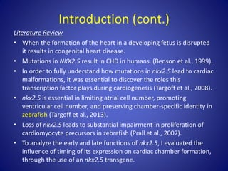 Sigma Xi Slides | PPT